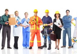 Кадры Профессии Рынок труда