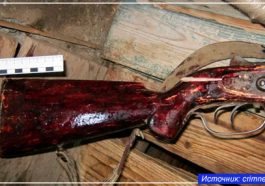 Последний выстрел охотника Последний выстрел охотника