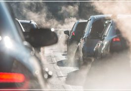 Автостадо портит воздух Автостадо портит воздух