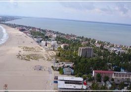 Там, где плещется вибрион Там, где плещется вибрион