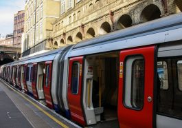 В Лондоне перестало работать метро из-за лебедя