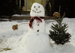 В Польше полиция чуть не арестовала снеговика
